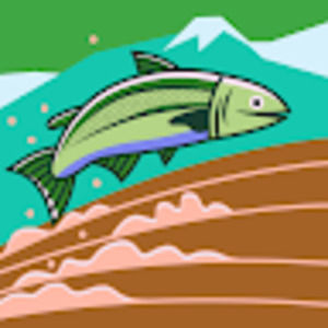 Meet your Posher, Raymond